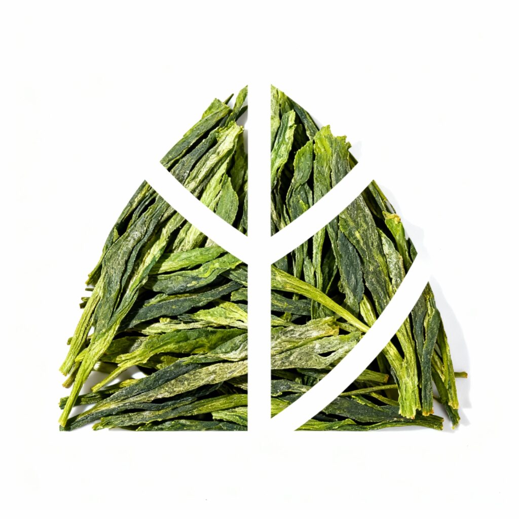 Taiping Houkui Green Tea 2025｜Cishan Zhou